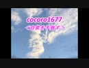 cocoro1677自我を手放す
