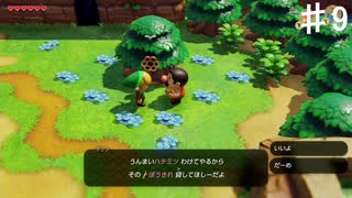 【夢をみる島】その装備でハチの巣を襲うのはちょっと…【初見プレイ】♯9
