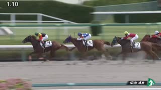 アポロビビ　中山・3歳以上1勝クラス　2019年9月22日