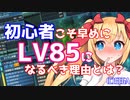 【PSO2】初心者講座レベリング編(前)「まず目標はLV85！」【オリキャラでVOICEROID解説】