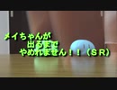 【おさぶ】ポケモンカード開封動画　ドリームリーグ③