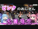 琴葉姉妹のおもしろストリートビュー探訪 Part2