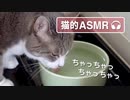 【モアクリ】 おいしい音 【猫的ASMR】
