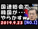 【海外の反応】韓国文在寅政権が国連総会でやらかす気満々…「自主国防新バージョン」に東京が？