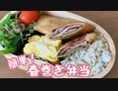 【お弁当】簡単！春巻き弁当