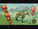【実況】ゼルダの伝説 BREATH OF THE WILD　Part12【初見】