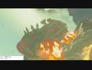軽い縛りとマスターモードでゼルダの伝説ブレスオブザワイルドpart36。