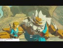 軽い縛りとマスターモードでゼルダの伝説ブレスオブザワイルドpart38。