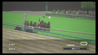 【ウイニングポスト8 2015】女馬主と早世馬の新世界【実況プレイ】374