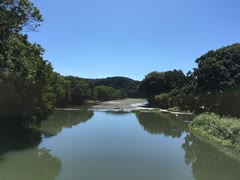 《ひこうき雲／松任谷由実》を歌ってみた✧
