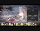 MHW/PC モスの奇跡