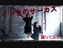 【踊ってみた】イドラのサーカス 【えるりん】