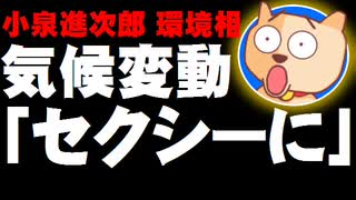 小泉進次郎環境相、気候変動対策「セクシーに」発言が物議