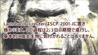 財団ゴリラの愉快なSCP報告書【SCP-2001-J：ケツレーザー病】