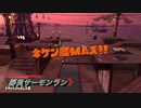 気楽に野良サーモンランPart23