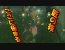【実況】ゼルダの伝説 BREATH OF THE WILD　Part13【初見】