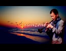Shunzone