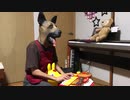 犬が【アンパンマンピアノ】で【弾いてみた】コールドプレイ Viva La Vida からの 勇気りんりん ピアノアレンジ【耳コピ】