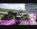 【PCX車載】　ビーナスライン2019.8　美ヶ原高原～霧の駅