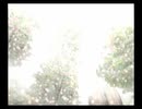 【実況】平和を取り戻すバテン・カイトス【part18】