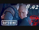 【DaysGone】ヘタレゴーン【初見実況】#.42