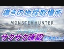 【MHWI】導きの地の採取ポイント紹介【ver.2】
