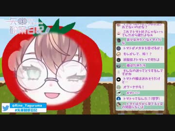 健屋花那と矢車りねがちょっと似てるってマジィ？