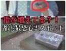 【実写】道了堂跡に肝試し行った【心霊スポット】