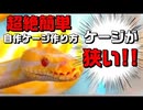 【ケージ自作】ボールパイソンのゲージが狭い件【簡単】