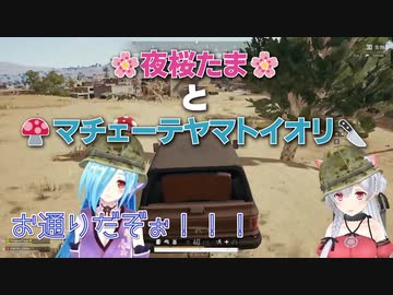 【PUBG】 夜桜たまとマチェーテ ヤマトイオリの行ってみようやってみよう 【アイドル部】