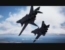 Unexpected Visitor - ACECOMBAT7 SKIES UNKNOWN SPMission01