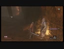 【ＳＥＫＩＲＯ】ウチの隻狼は迷ってばかり【第二十幕】