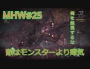 【モンハンワールド】新米ハンターまったりアステラ生活#25～ストーリー編～【ゲーム実況】