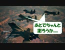 Ace Combat 7 Multiplayer349  チームデスマッチ  A-10C + 4AGM