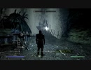 【実況無し】普通にスカイリムを冒険するＤＬＣ編♯88-2～空に触れる～【PS4】