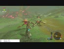 軽い縛りとマスターモードでゼルダの伝説ブレスオブザワイルドpart46。