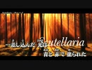 【ニコカラ】Scutellaria / キョーヘイ ｛ off vocal ｝