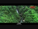 China Recommendation -Songxi Green Tea