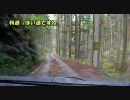 【車載動画】奈良険道48号線を走ってみた～Part2～