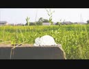 わたあめが【シンセカイ案内所】歌ってみた