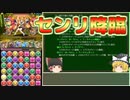 【パズドラ】レアガチャ禁止！！裏・闘技場制覇への道 Part.33【ゆっくり実況】