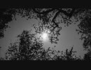 Yusuke Tsutsumi - Memories Of Summer