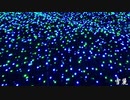 雪麗　【オリジナル】