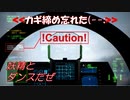 Ace Combat 7 Multiplayer350  バトルロイヤル  ADFX-01 + IEWS