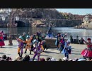 【iPhone 11 Pro】ディズニー・ハロウィーン「フェスティバル・オブ・ミスティーク」【画質テスト】