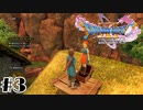 宝箱からエマをみつけた！【ドラゴンクエストⅪ S】体験版#3