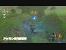 【ゼル伝BotW】100年の眠りから目覚めた勇者の冒険９９【もちまる】