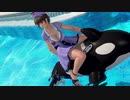 DOAX3fortune 本日グラビアパラダイスランダム 8分/1080p