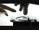 Microscope_5__Scientist__Videvo.mov65665　佐々木偉男