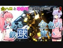 金ハロとゆかりのバトオペ2#009【ガンダムLv3ハンマー装備】